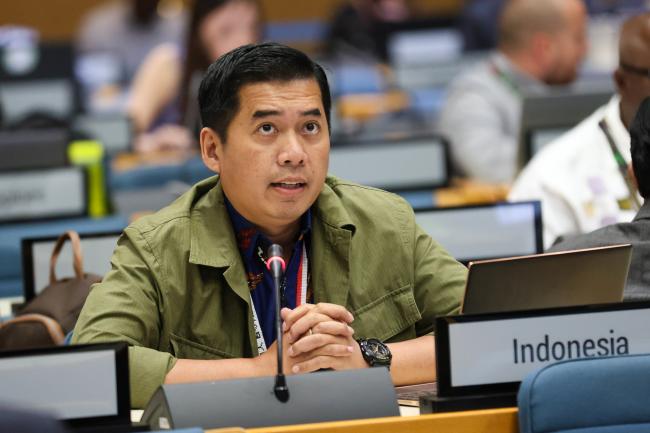 Danny Rahdiansyah, Indonesia