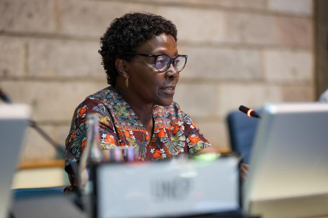 Elizabeth Maruma Mrema, Deputy Executive Director, UNEP