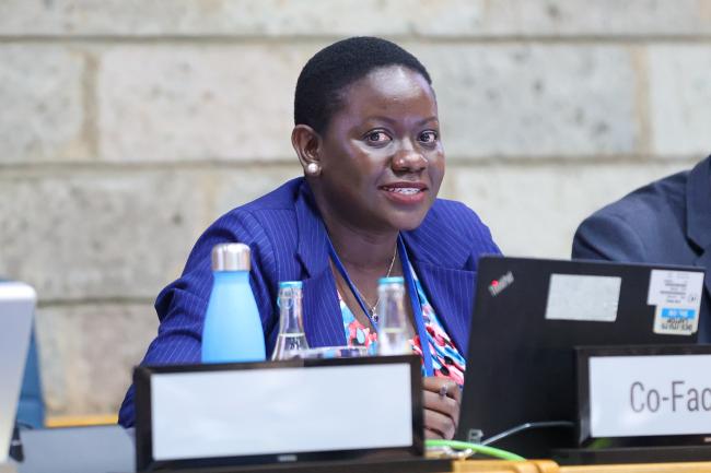 Working Group II: Cluster D Co-Facilitators Felista Rugambwa, Tanzania