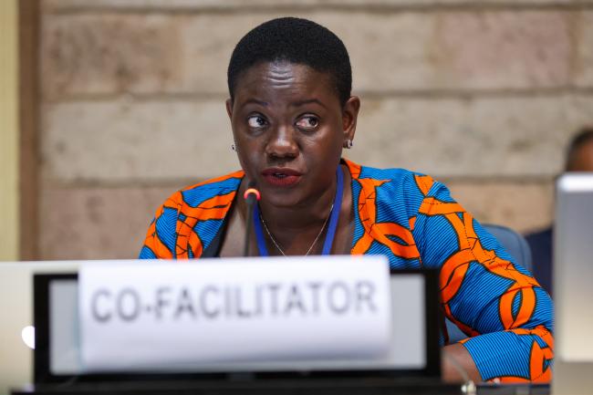 Working Group II Cluster D Co-Facilitator Felista Rugambwa, Tanzania