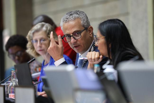 Firas Khouri, Chair of the Committee of Permanent Representatives, Jordan