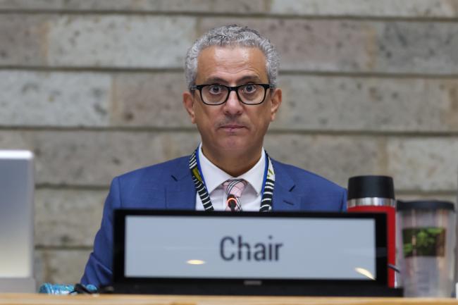 Firas Khouri, Chair of the Committee of Permanent Representatives, Jordan