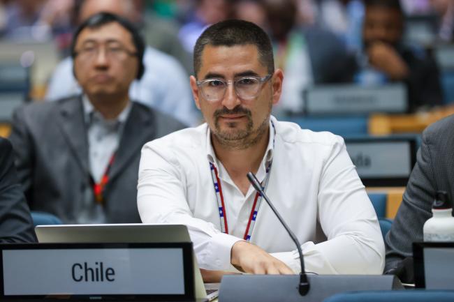Gonzalo Guaiquil, Chile
