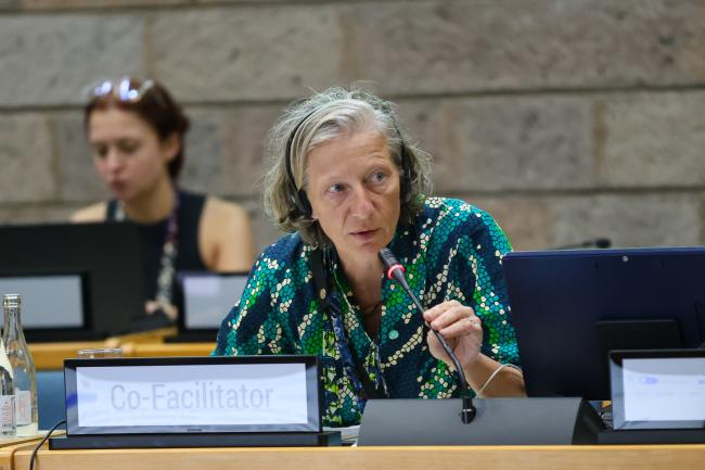 Working Group I: Cluster B Co-Facilitator Gudi Alkemade, the Netherlands