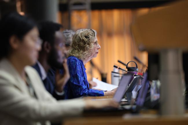 Inger Andersen, Executive Director, UNEP