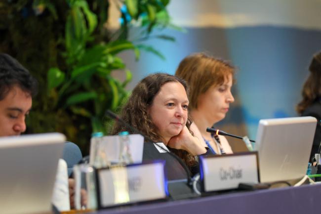 Contact Group II: Cluster C Co-Chair Karin Snellman, Sweden