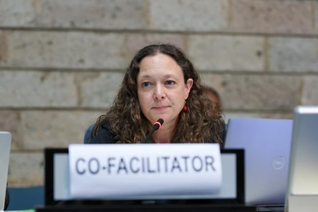 Working Group II Cluster C Co-Facilitator Karin Snellman, Sweden