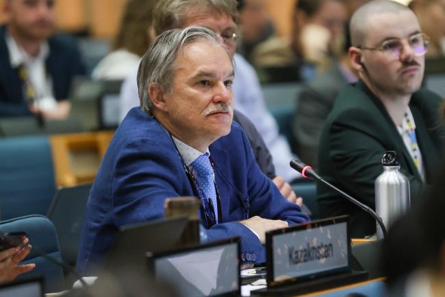 Luca Marmo, EU