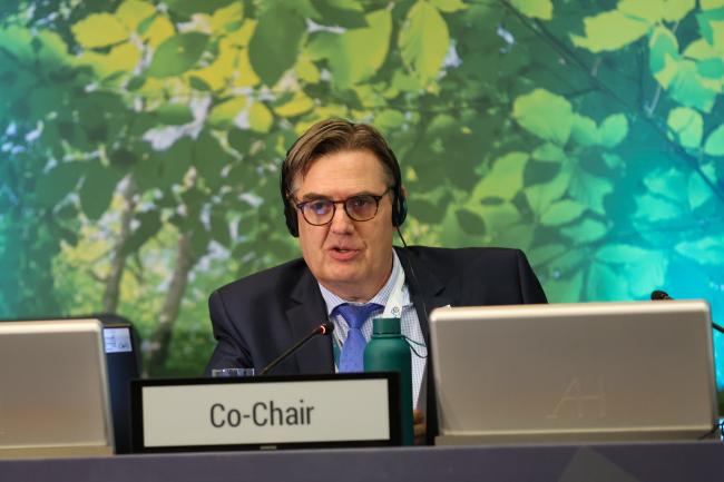 Maarten Kappelle, UNEP
