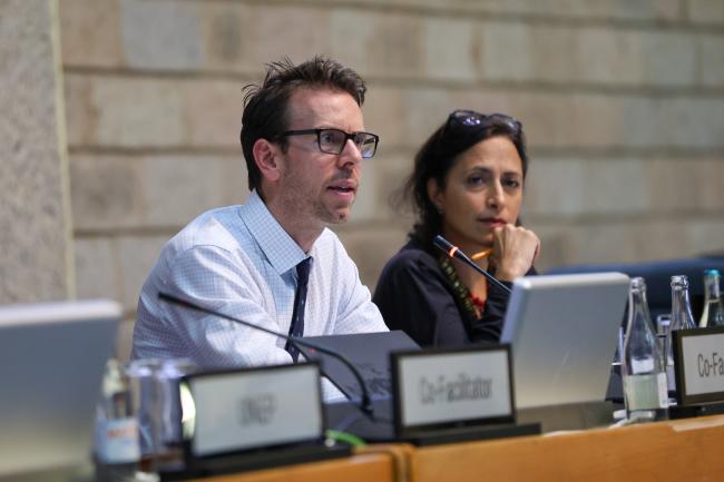Working Group II: Cluster D Co-Facilitator Robert Bunbury, Canada