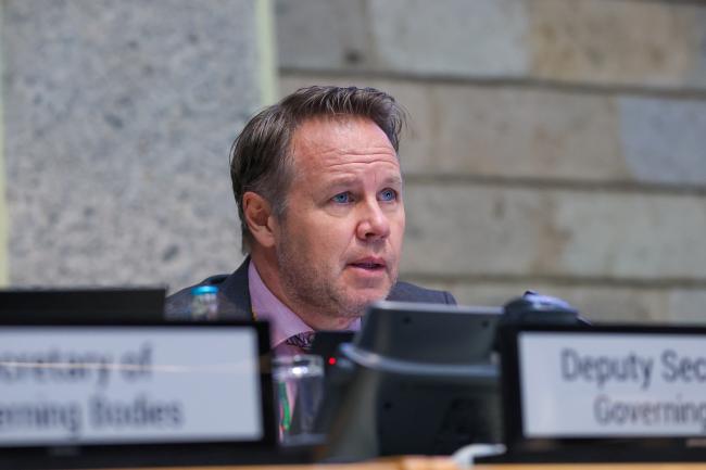 Ulf Bjornholm, Deputy Secretary, Governing Bodies and Stakeholders