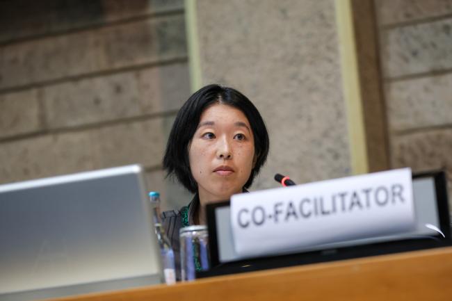 Working Group I Cluster A Co-Facilitators Yume Yorita, Japan