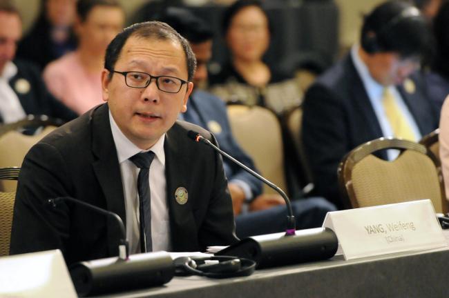 Weifeng Yang, Temporary Alternate Council Member, China