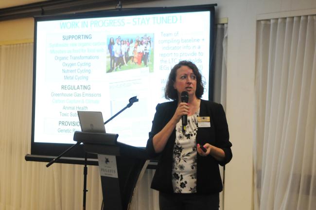 Beth Orcutt, Bigelow Laboratory for Ocean Sciences