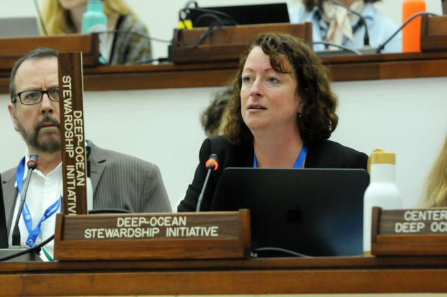 Beth Orcutt, Deep Ocean Stewardship Initiative (DOSI)