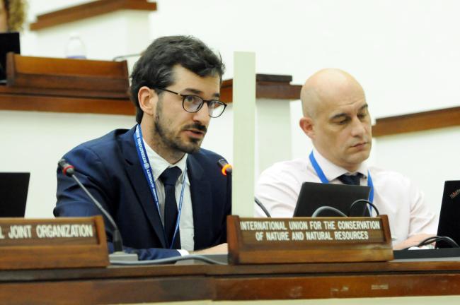 Clément Chazot, International Union for Conservation of Nature (IUCN)