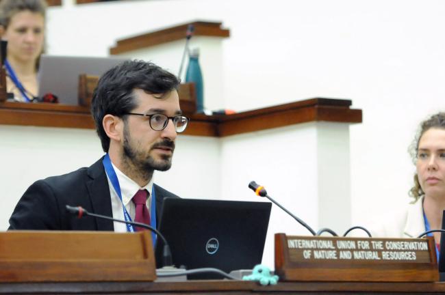 Clément Chazot, International Union for Conservation of Nature (IUCN) 