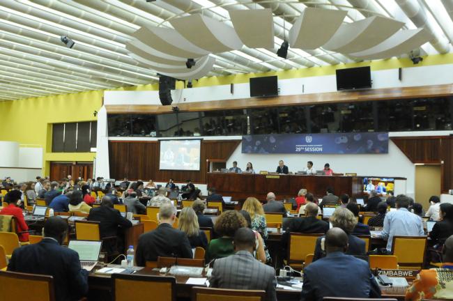Delegates during the Council meeting