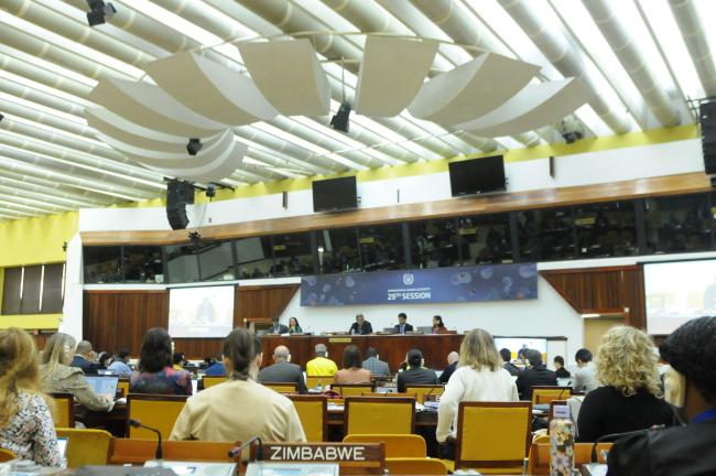 Delegates during the Working Group