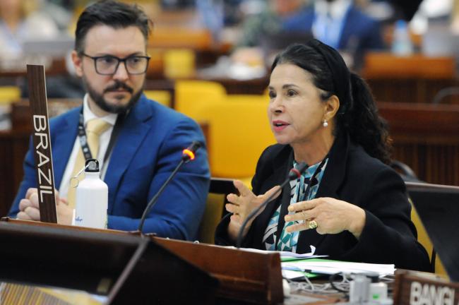 Elza Moreira Marcelino de Castro, Brazil