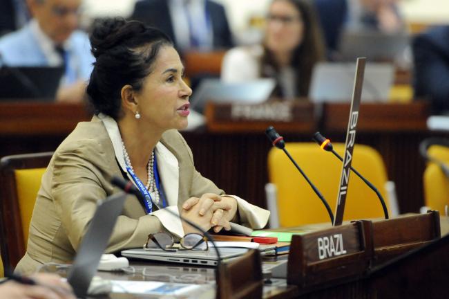 Elza Moreira Marcelino de Castro, Brazil