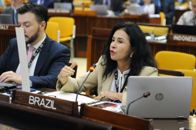 Elza Moreira Marcelino de Castro, Brazil