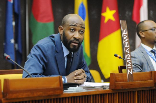 Francis Winston Changara, Zimbabwe