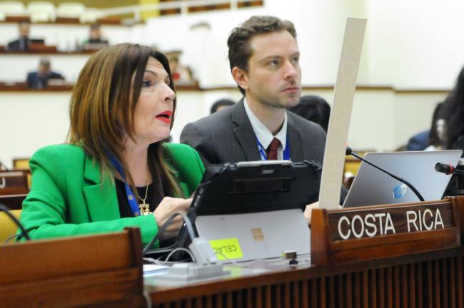 Gina Guillén Grillo and José David Sánchez Cedeño, Costa Rica