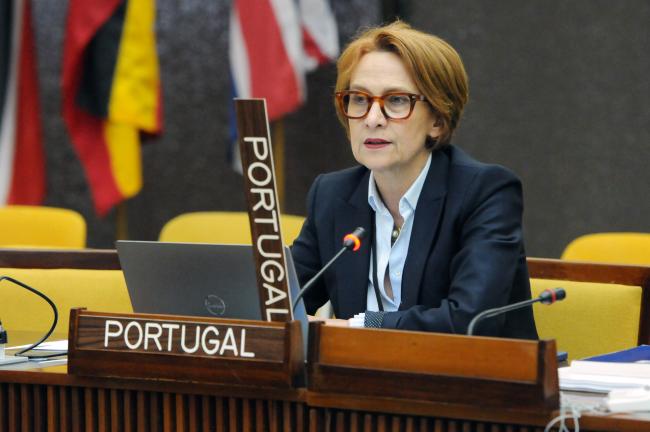 Maria Luís Mendes, Portugal