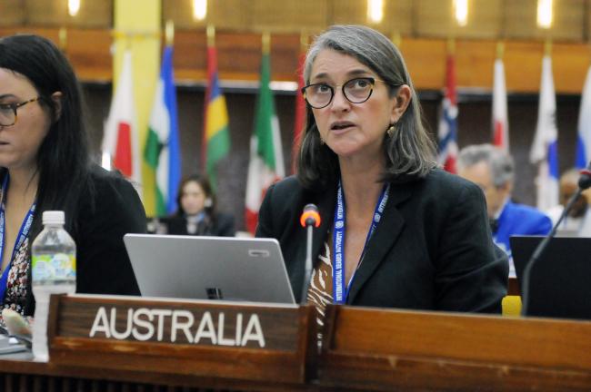 Robyn Frost, Australia, rapporteur of the thematic discussion on equalization measures