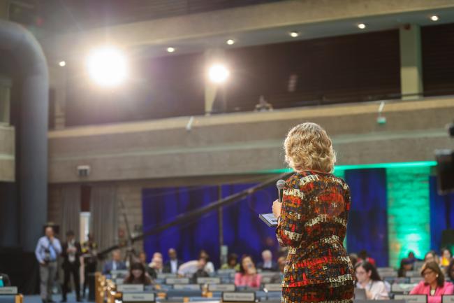 Inger Andersen, Executive Director, UNEP