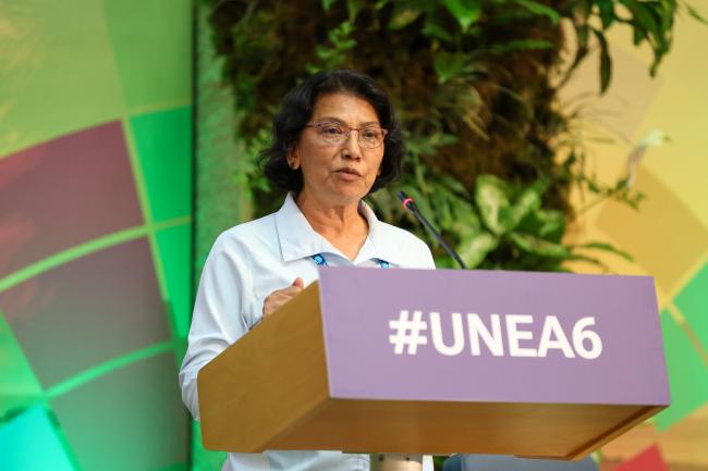 Sarojeni V Rengam, Major Groups regional facilitator for Asia Pacific