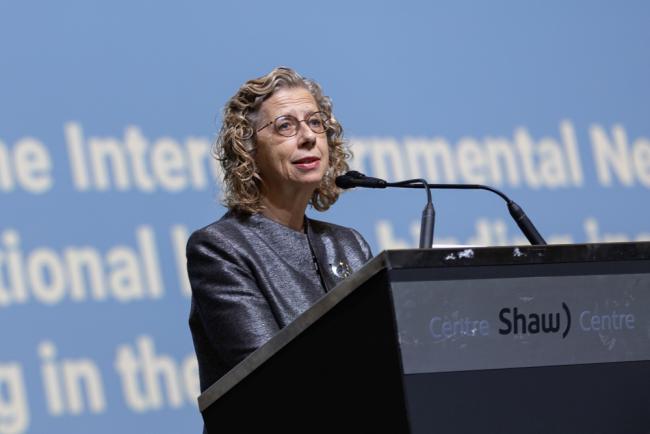 Inger Andersen, Executive Director, UNEP