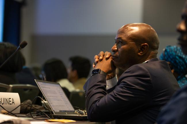 Delegates listen to the interventions