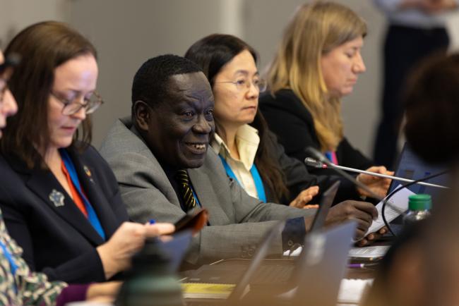 Contact Group 2 Co-Facilitator Tommy Oliver Boachie, Ghana