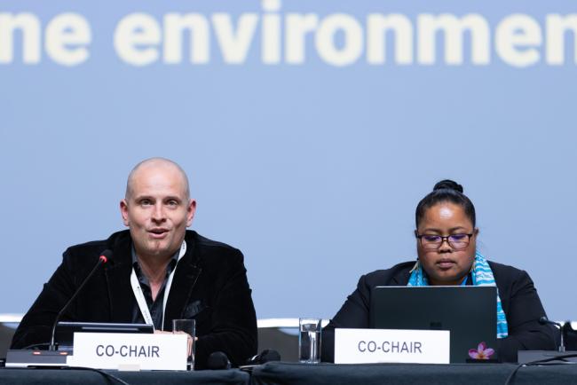 Contact Group 1 Co-Facilitators Axel Borchmann, Germany, and Gwendalyn Kingtaro Sisior, Palau