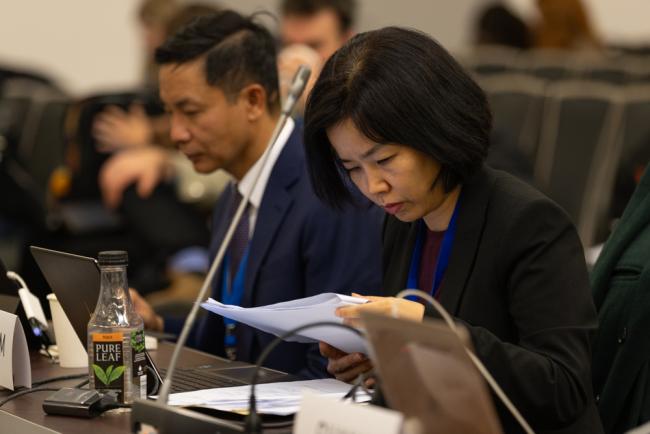 Delegates review the text