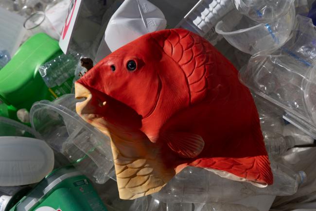 Plastic fish head