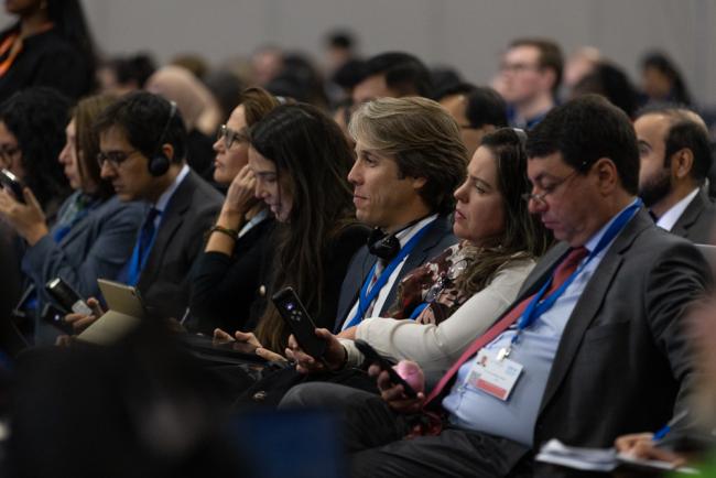 Delegates in the session