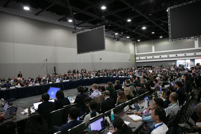 Delegates gather for negotiations under Subgroup 1.2