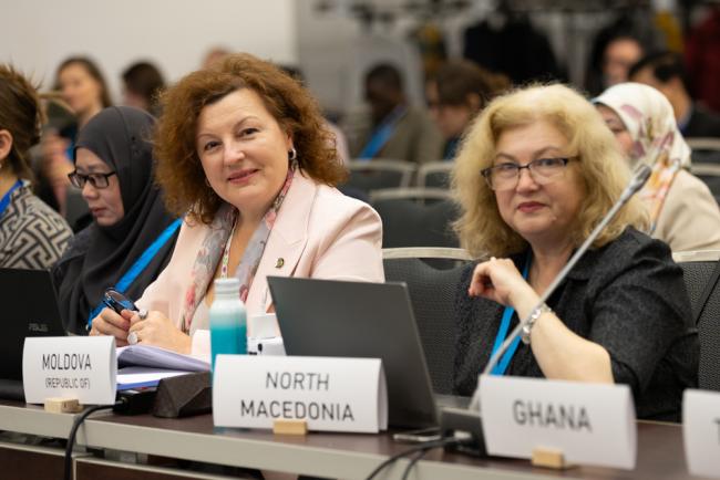 Delegates from Moldova and North Macedonia