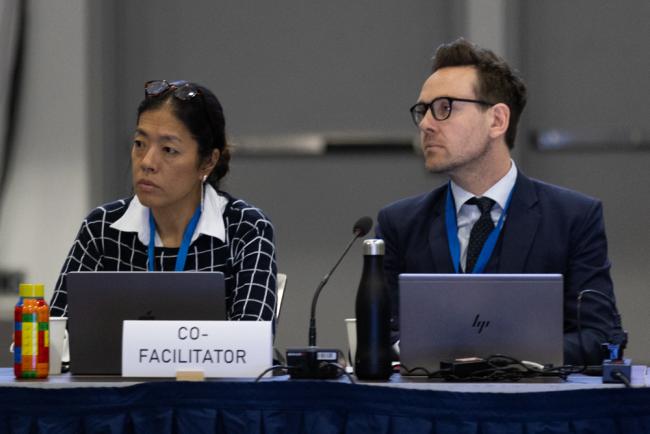 Subgroup 1.2 Co-Facilitators Maria Angélica Ikeda, Brazil, and Erlend Draget, Norway