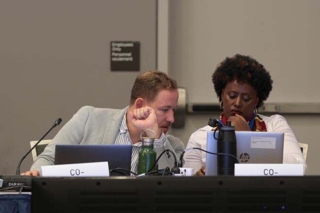 Subgroup 2.1 Co-Facilitators Miguel Luís, Portugal, and Naomi Namara Karekaho, Uganda