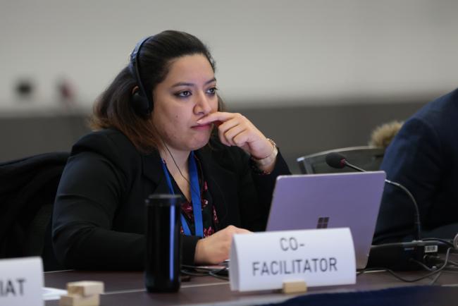 Subgroup 1.1 Co-Facilitator Sara Elkhouly, Egypt
