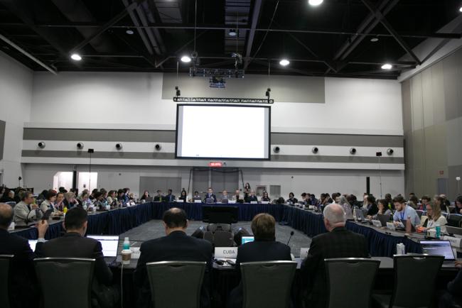 Delegates gather for the joint Subgroups 1.1 and 1.3