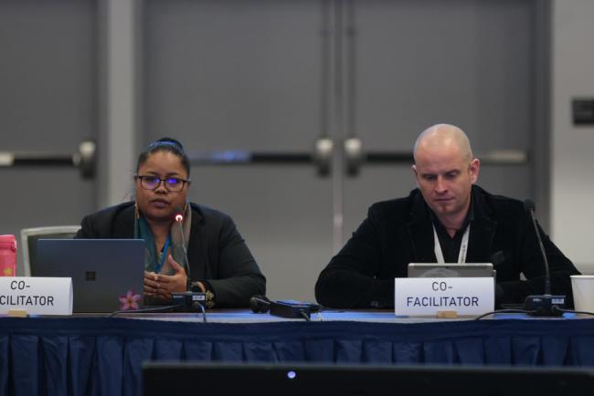 Contact Group 1 Co-Chairs Gwendalyn Kingtaro Sisior, Palau, and Axel Borchmann, Germany