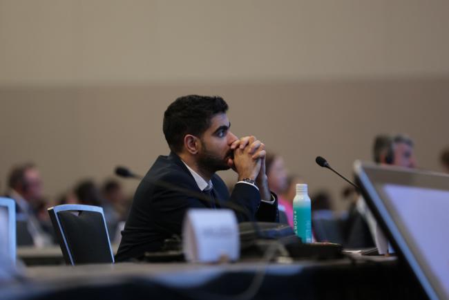 Delegate in plenary