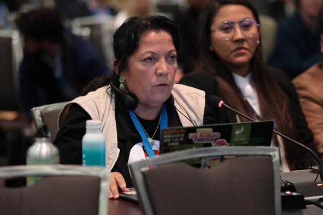 Maria Soledad Mella Vidal, International Alliance of Waste Pickers