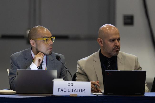 Subgroup 1.3 Co-Facilitators Andrés Duque Solís, Colombia, and Abdulrahman bin Ali Alshehri, Saudi Arabia
