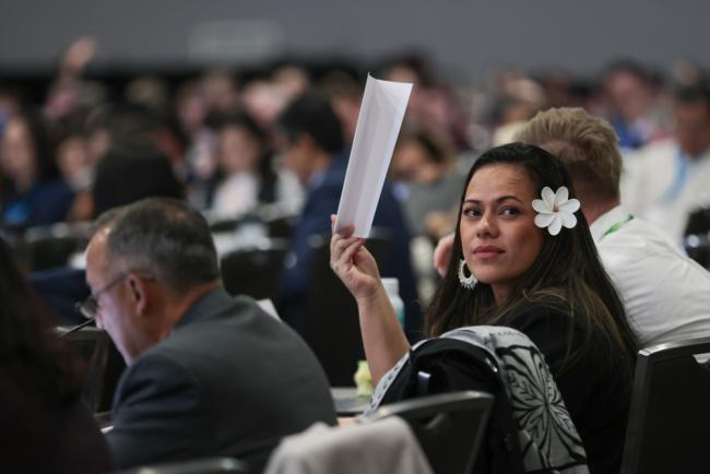 Delegates raise their placards to speak